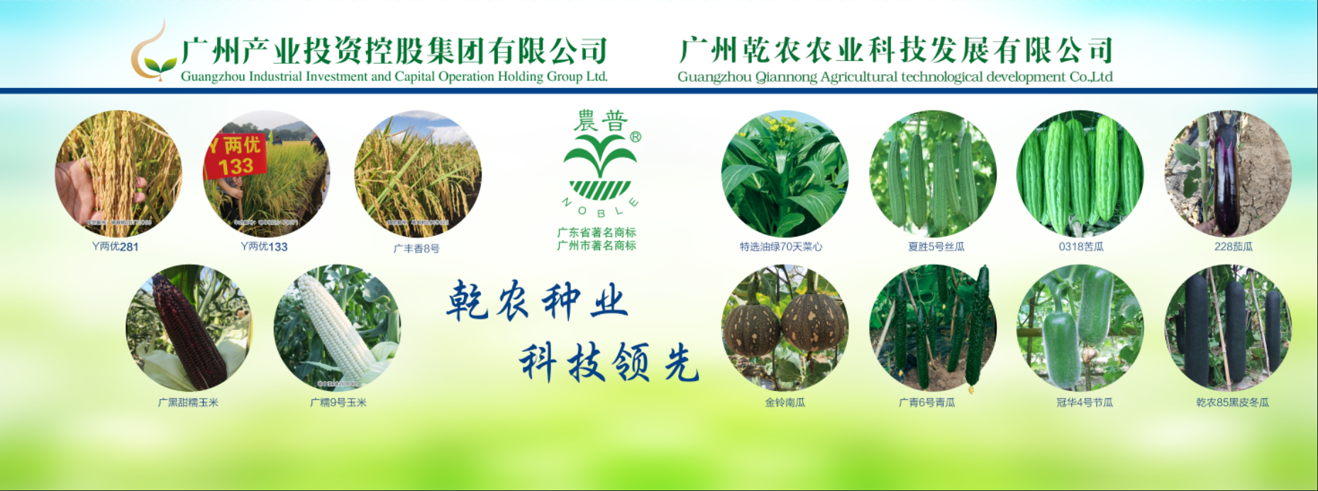 金龙迎宾·(中国)有限公司官网