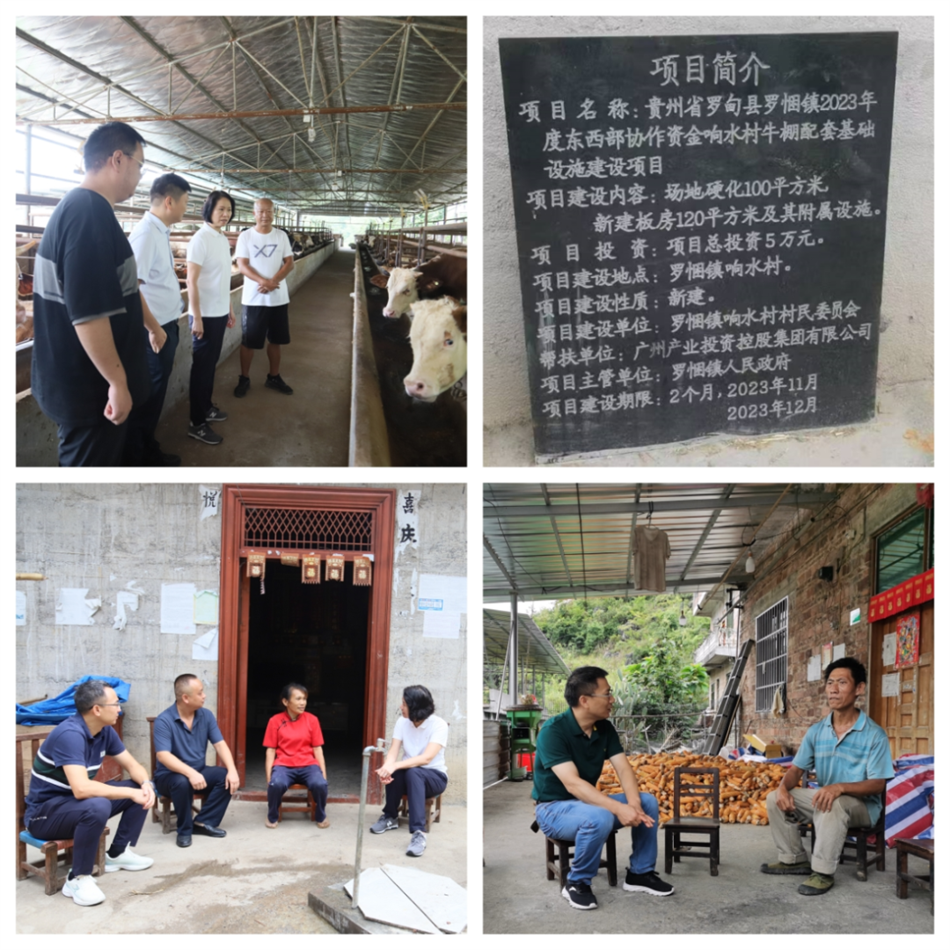 金龙迎宾·(中国)有限公司官网