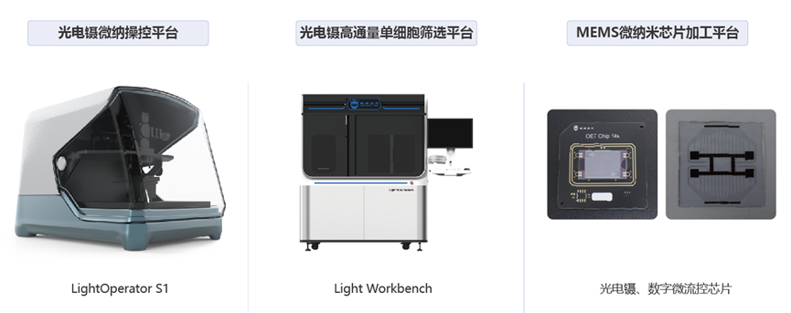金龙迎宾·(中国)有限公司官网