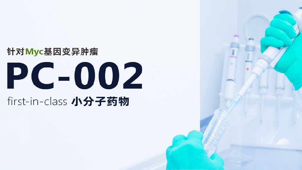 金龙迎宾·(中国)有限公司官网