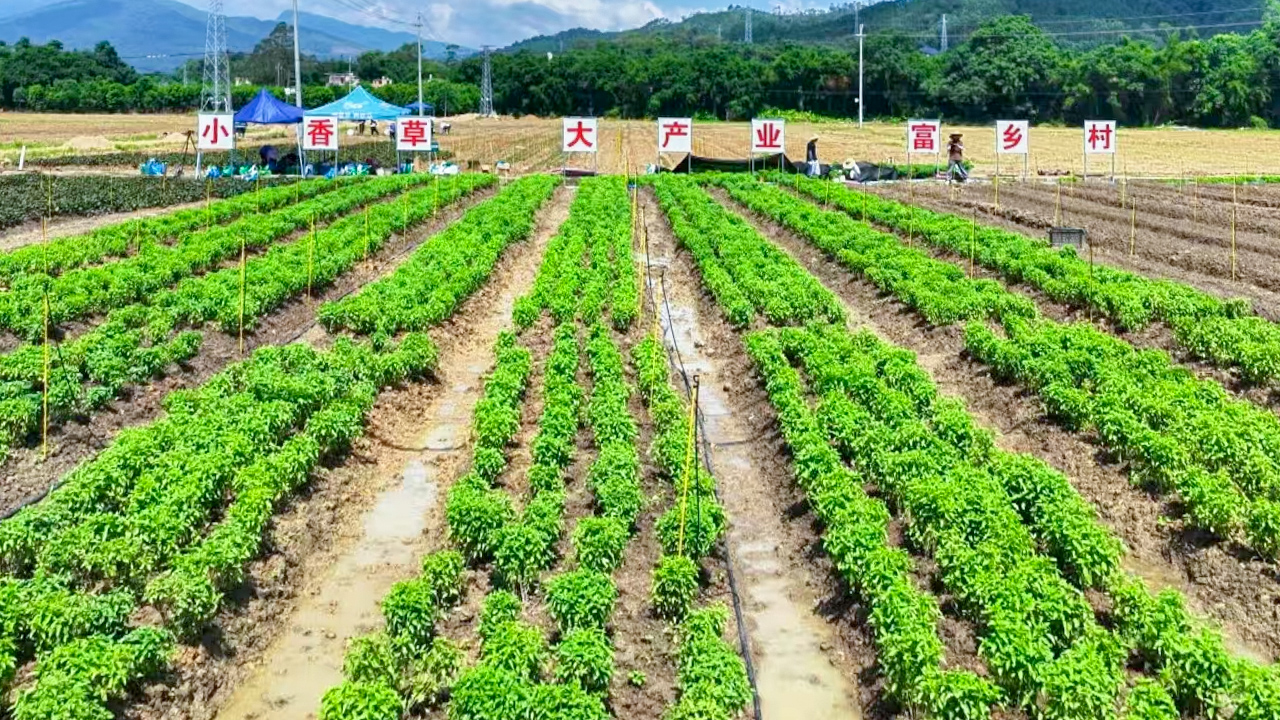 金龙迎宾·(中国)有限公司官网